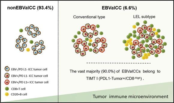 ��ҳ|ng������Ϸ�й����Źٷ���վ