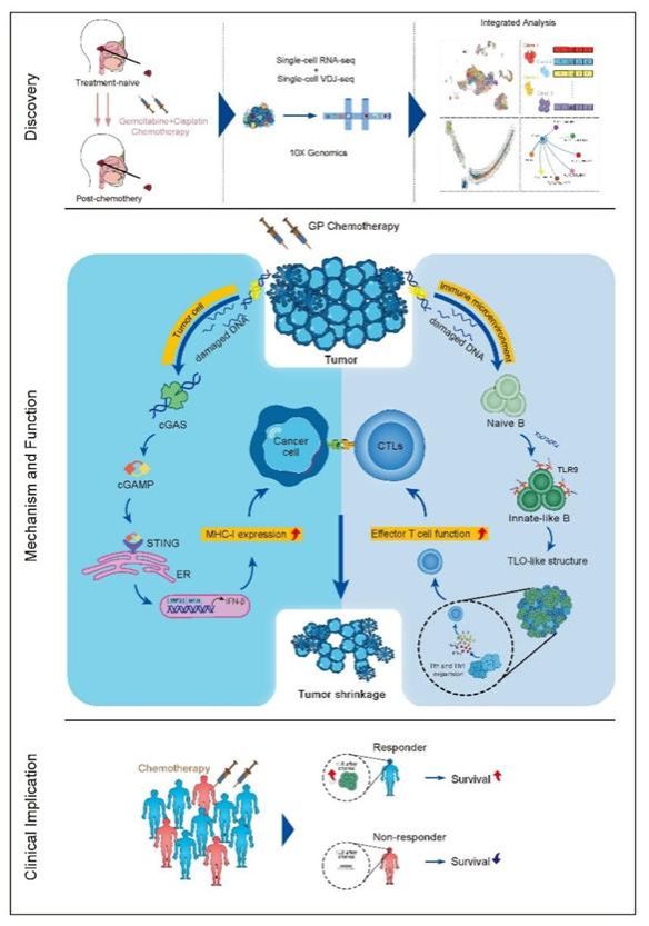 38552ACB1B2EDF1E7CF26713A17_D578FC6E_10501 38552ACB1B2EDF1E7CF26713A17_D578FC6E_10501
