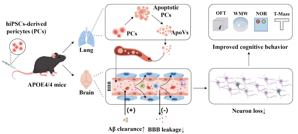 C89DF4B26925A66F6C002DE0631_2640527E_3058B