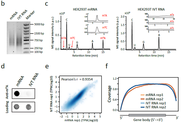 ��ҳ|ng������Ϸ�й����Źٷ���վ