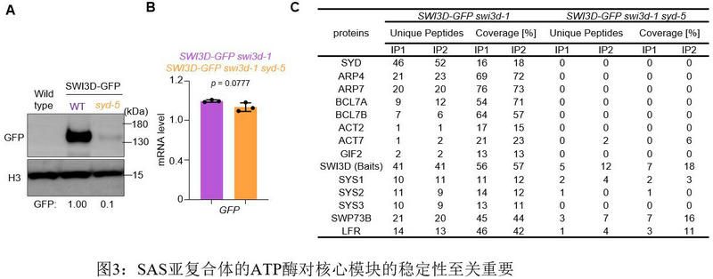 C211F074E9D3F94B7B5AC2E3FA4_5CA2A313_AE68