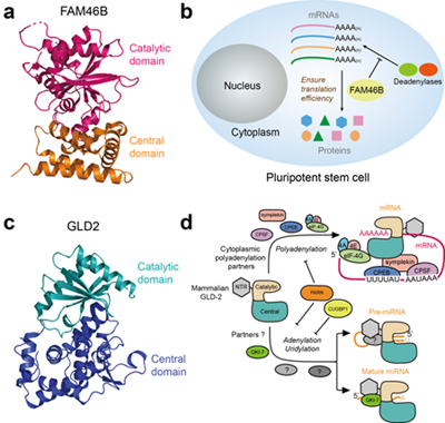 ��ҳ|ng������Ϸ�й����Źٷ���վ
