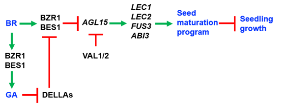 ��ҳ|ng������Ϸ�й����Źٷ���վ