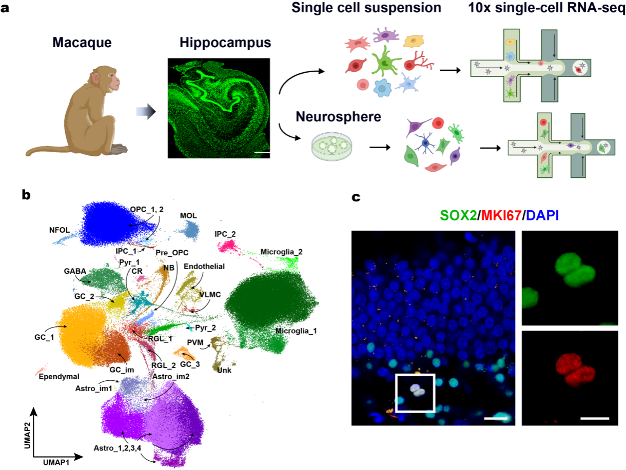 9BADC21AC0926C2CCB8C51DB2E7_E777EDD6_9C69C