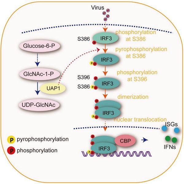 22BEB933C79740B124735EC13BD_776487D5_D307 22BEB933C79740B124735EC13BD_776487D5_D307
