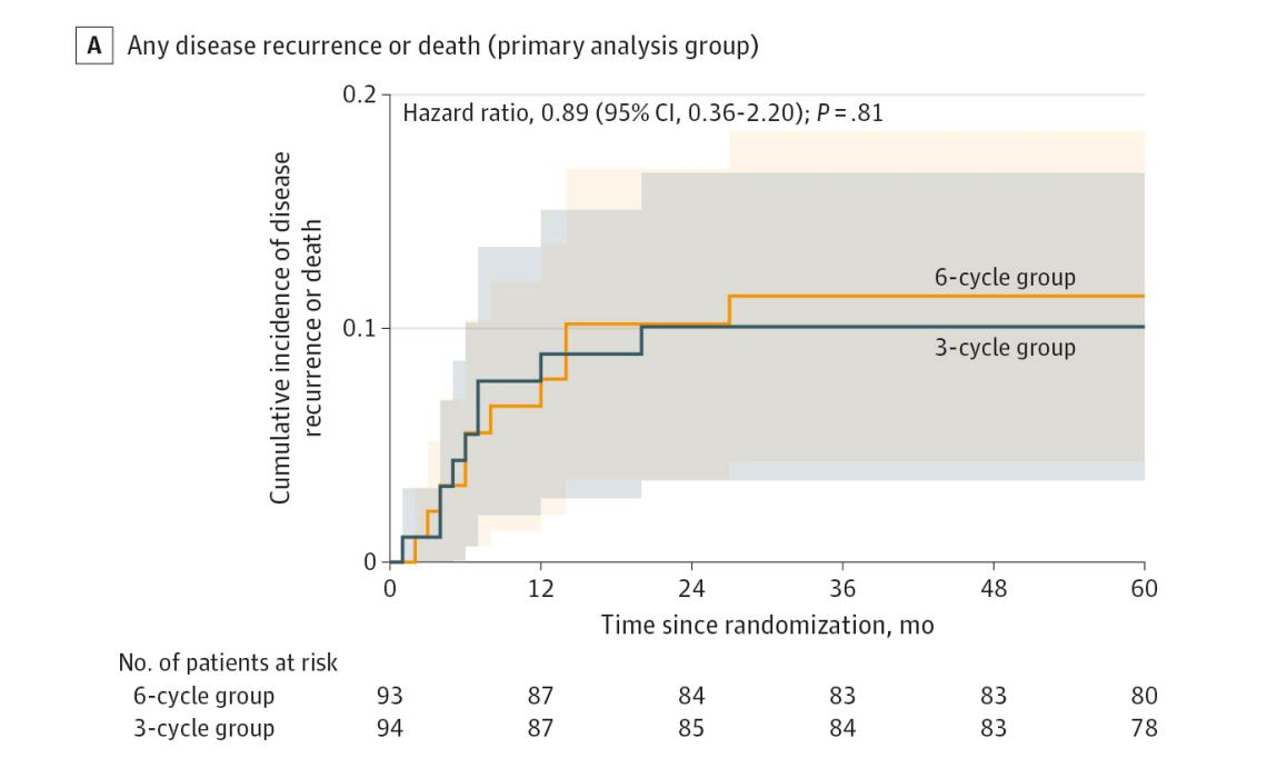 4EDFB3ECC42BDE6A103F4A681BF_613BC6A8_25687