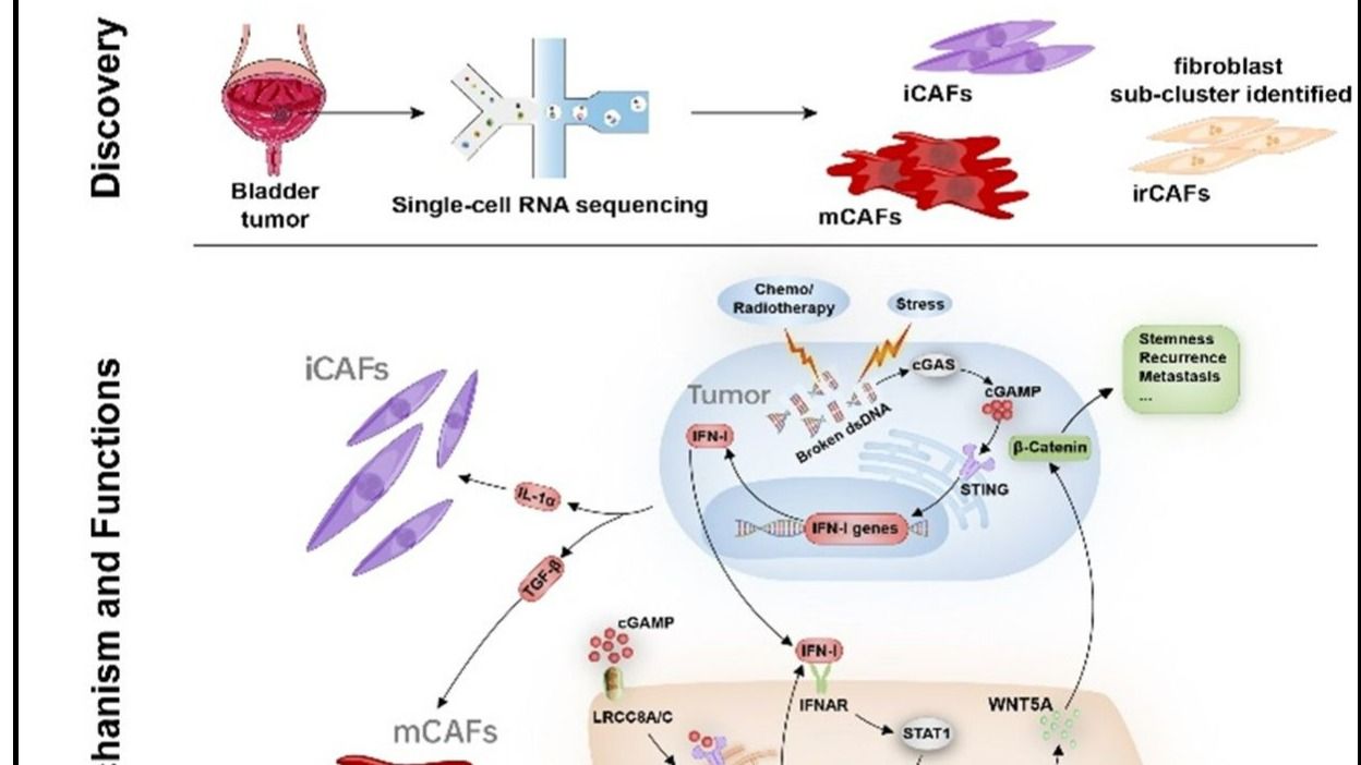 ��ҳ|ng������Ϸ�й����Źٷ���վ