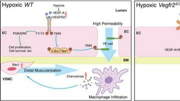 ��ҳ|ng������Ϸ�й����Źٷ���վ
