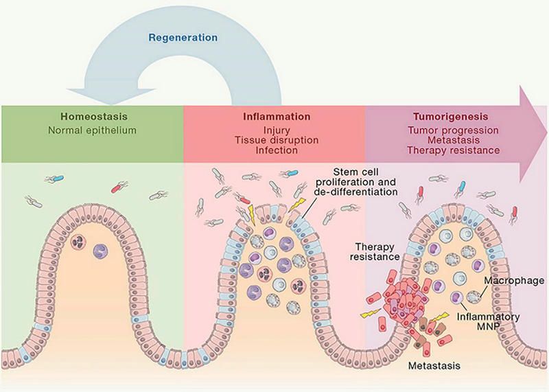 C499774E0DE0EDF7C13C3423778_2E133C03_EEC9