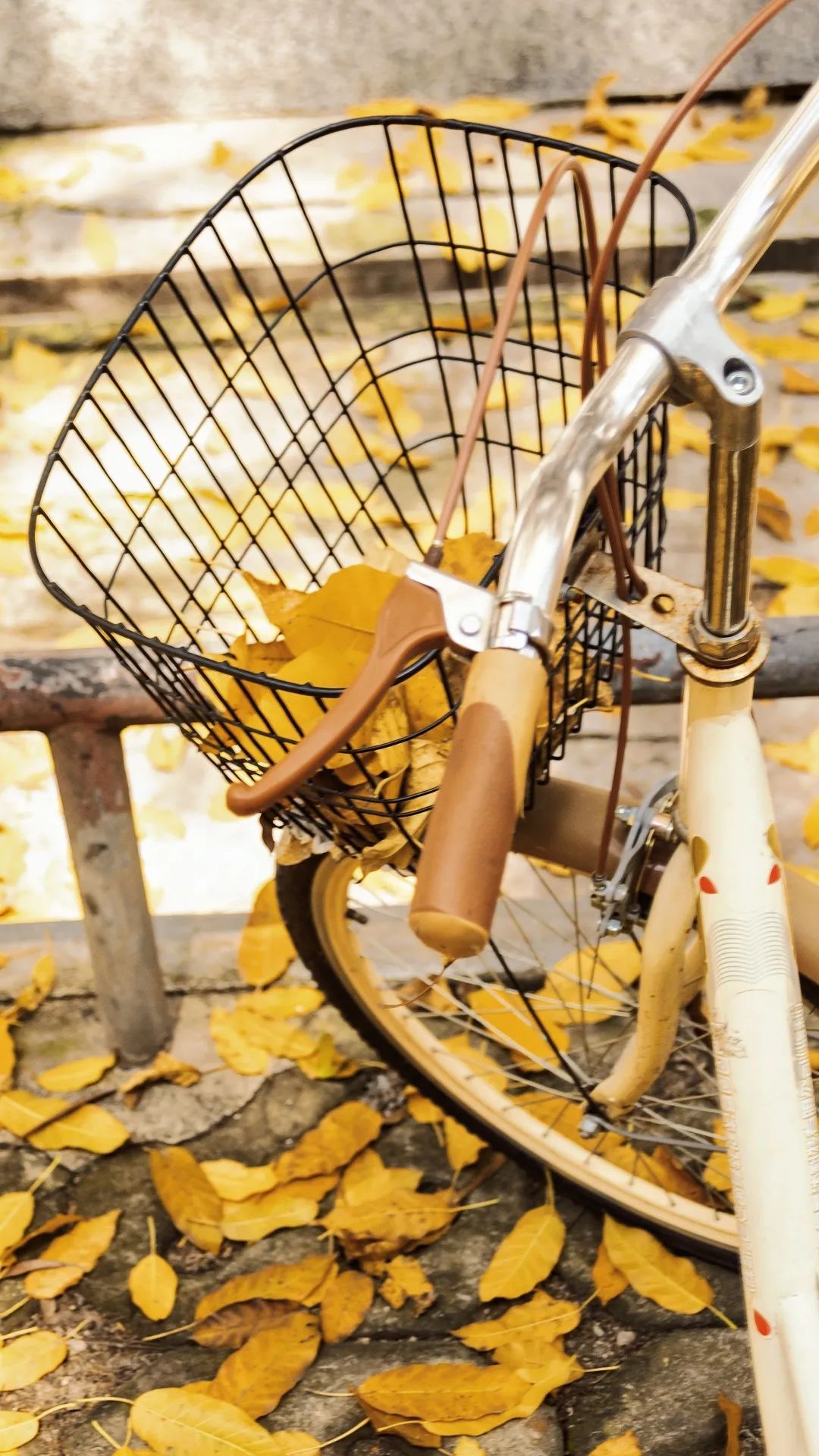 99DBB52536CAE345EA7E6920F82_5ECC96D8_4B539 ͼƬ