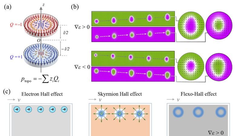 ��ҳ|ng������Ϸ�й����Źٷ���վ