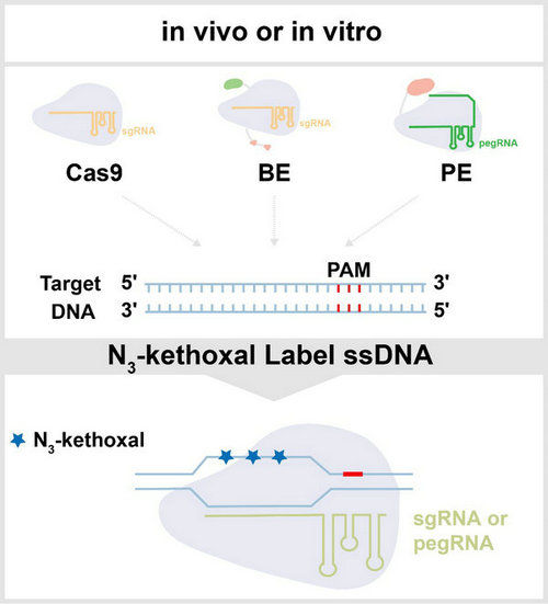 03653B723946198088F540D7AD9_6E6A32B9_89BA