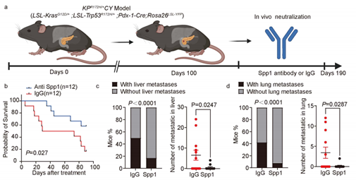 42DDA322EF4DDD1BE73F14291F4_680498D2_17DF2