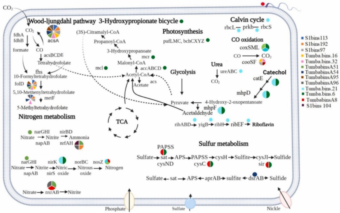 ��ҳ|ng������Ϸ�й����Źٷ���վ