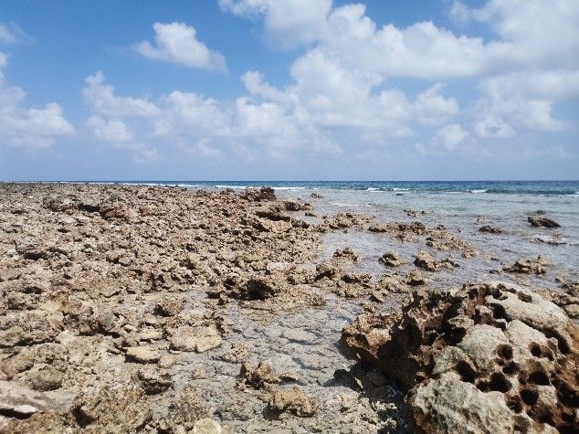 83FC6E69C490787EB683DE42476_61F51C5E_16BC7