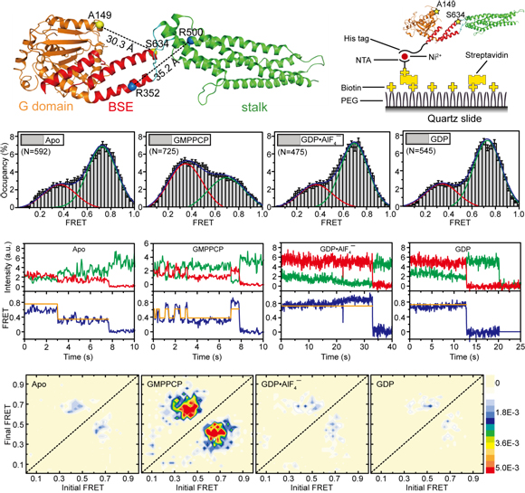 ��ҳ|ng������Ϸ�й����Źٷ���վ