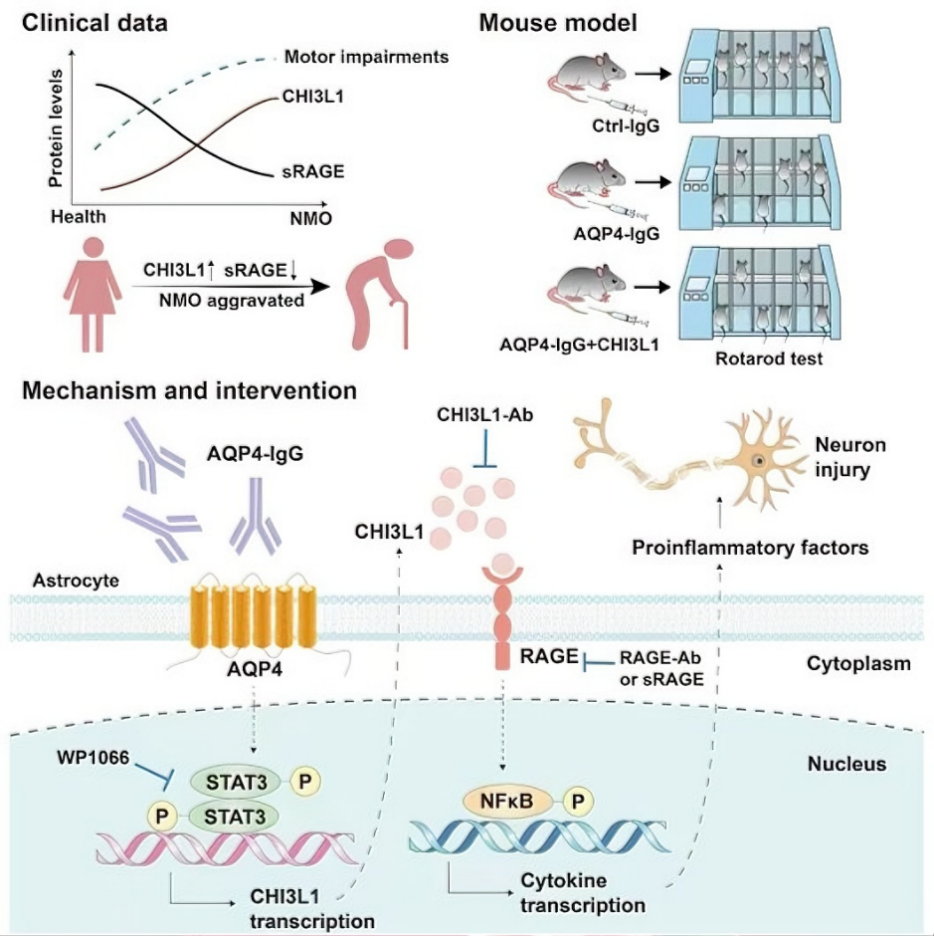 ��ҳ|ng������Ϸ�й����Źٷ���վ