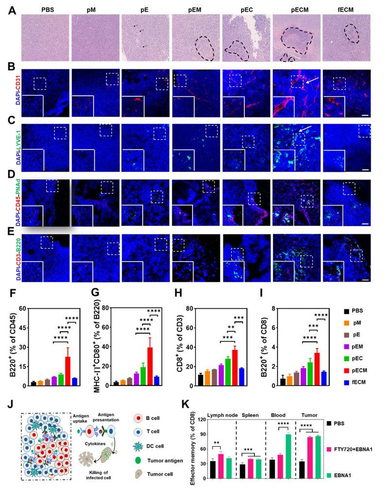 61DD50B87178AB0EE6C45AF161C_D9E33757_2A44A