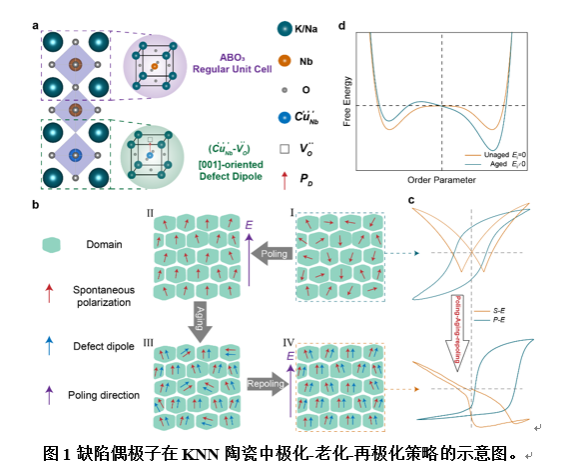 96D20A2519AC8354D7AB1C24AAA_AFA116E0_21FAF