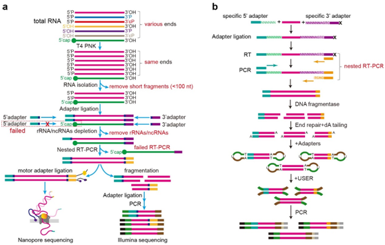 08CD9DFE1D351F7AE65A9D1DA6D_D8D1D149_200D7