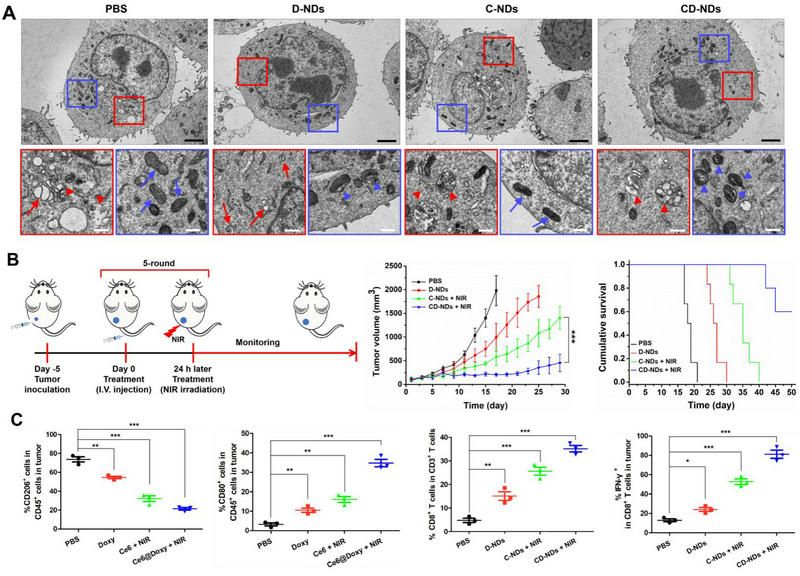 53C836B6440F82416B0124B337A_79756C55_1967C 53C836B6440F82416B0124B337A_79756C55_1967C