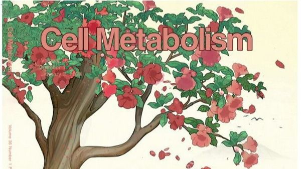 ��ҳ|ng������Ϸ�й����Źٷ���վ