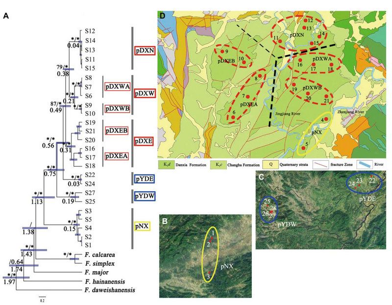 90CF6AF3D0AC76B47AE91BBF0A3_B2CE9706_1A9EB