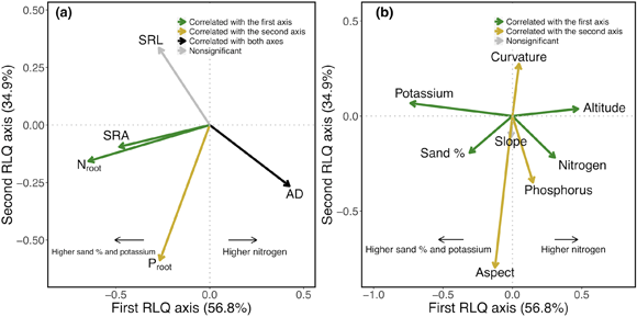 ��ҳ|ng������Ϸ�й����Źٷ���վ