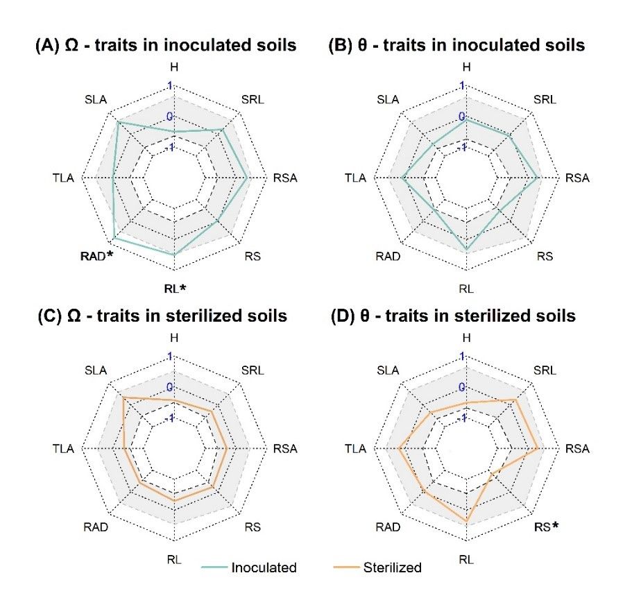 45A20537115A288DE45F9ACE118_208478DB_18463