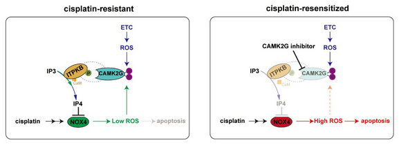 ��ҳ|ng������Ϸ�й����Źٷ���վ