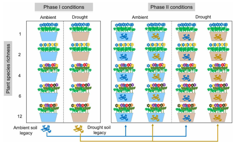 ��ҳ|ng������Ϸ�й����Źٷ���վ
