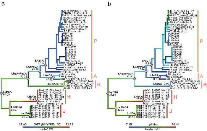 C852487559E53533B71075B2348_D5071BB6_FF2F
