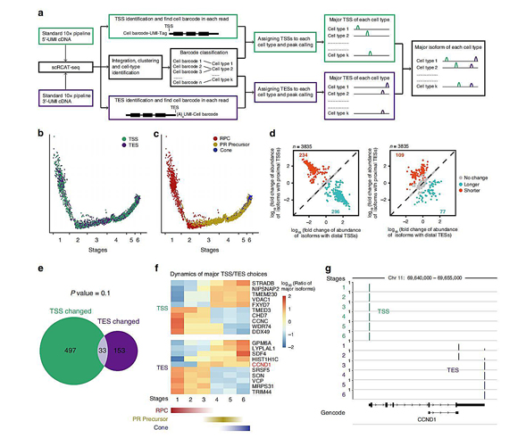 5A6C2DA055CD91845DCBAA7F33B_6E9036D7_2BDE2.jpg?e= Ê×Ò³|ngµç×ÓÓÎÏ·Öйú¼¯ÍŹٷ½ÍøÕ¾