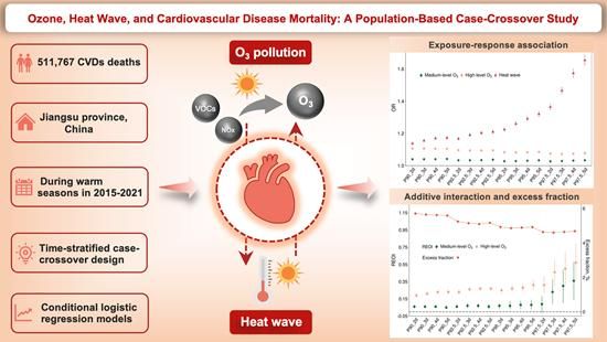 BEA12DE93F131100026A6D80FAC_08B367CF_8FC4