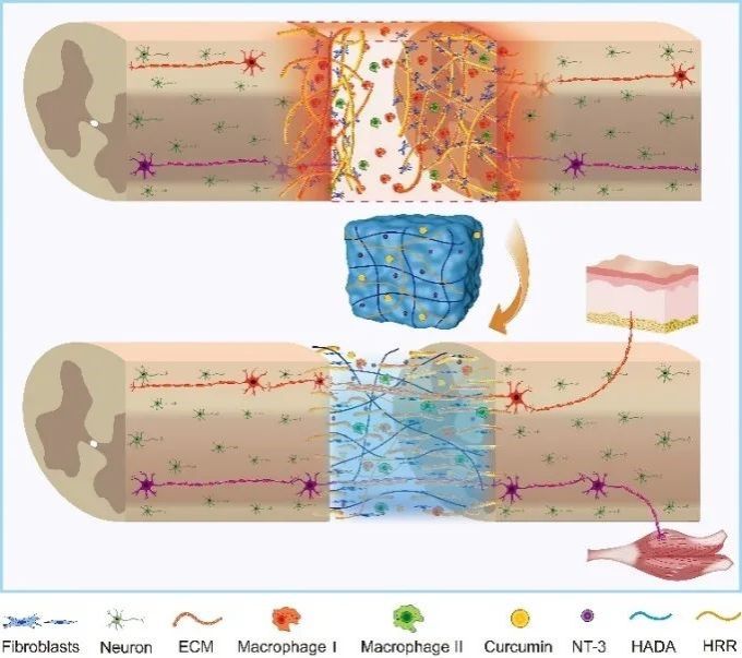 42E972EC101865073FDB6BC8771_188D00C7_F5F7