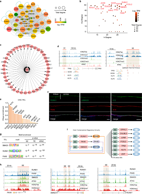 ��ҳ|ng������Ϸ�й����Źٷ���վ