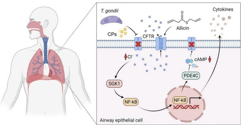7D34CDC73C3F46A894F4F6FAAC2_26E3F02C_A85B
