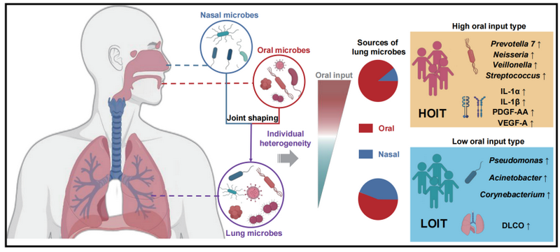2498249EB0897B95F42BD726B3A_75120BDE_3B099 2498249EB0897B95F42BD726B3A_75120BDE_3B099