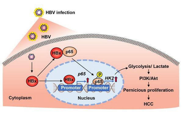0BF189972710910D1738ABADEEA_1E14DF32_8AD6