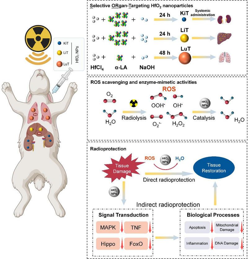 8421FBBCF4F99691D7254610932_D95E4643_1ABB2