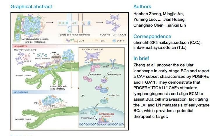 ��ҳ|ng������Ϸ�й����Źٷ���վ