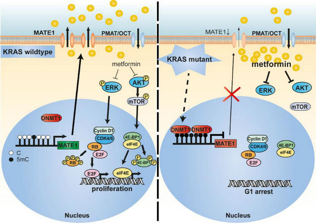 ��ҳ|ng������Ϸ�й����Źٷ���վ