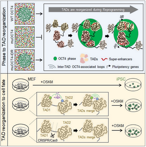 ��ҳ|ng������Ϸ�й����Źٷ���վ