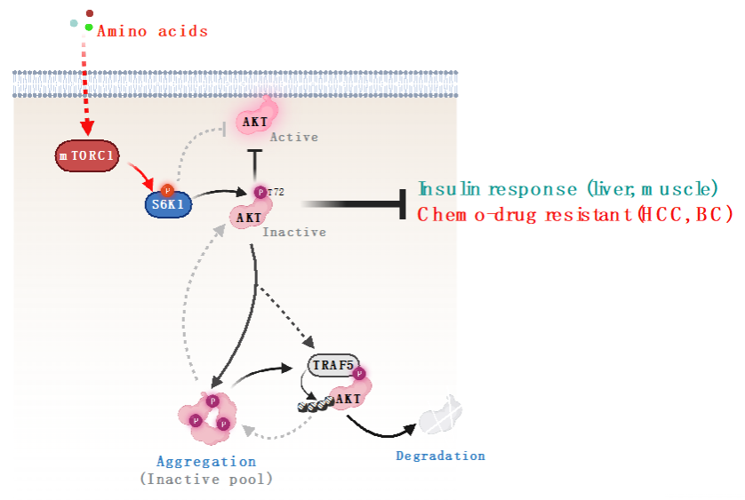 ��ҳ|ng������Ϸ�й����Źٷ���վ