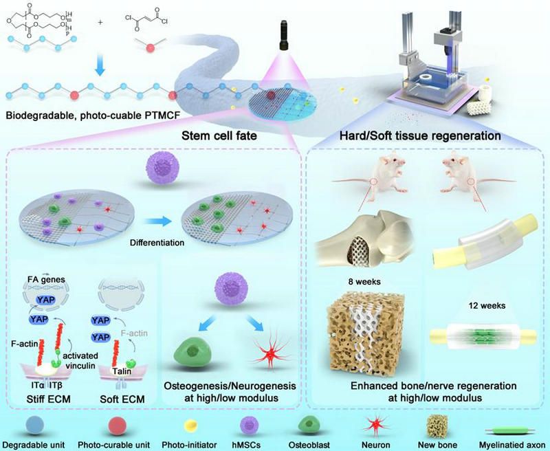 6BD7A4E2EC8A67FEF998A0C9148_F6C6CAFB_130FD