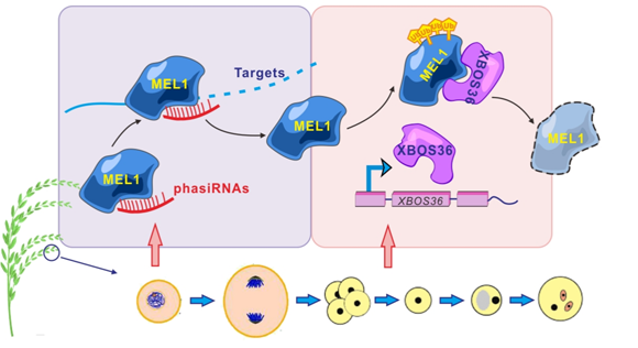 ��ҳ|ng������Ϸ�й����Źٷ���վ