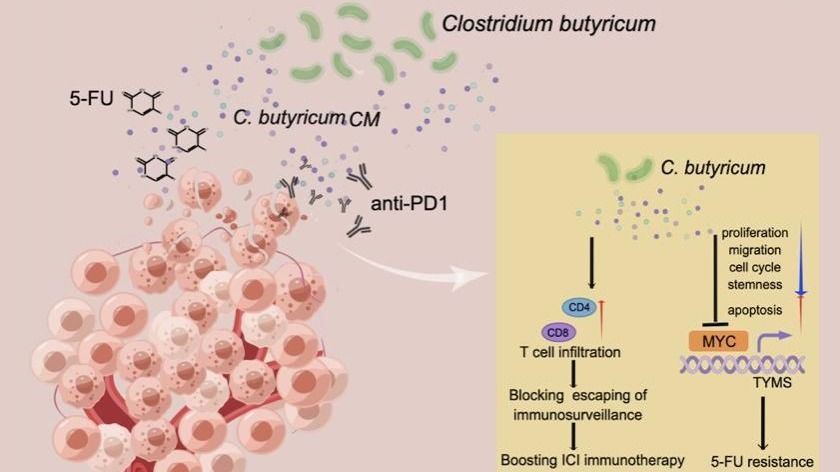 ��ҳ|ng������Ϸ�й����Źٷ���վ