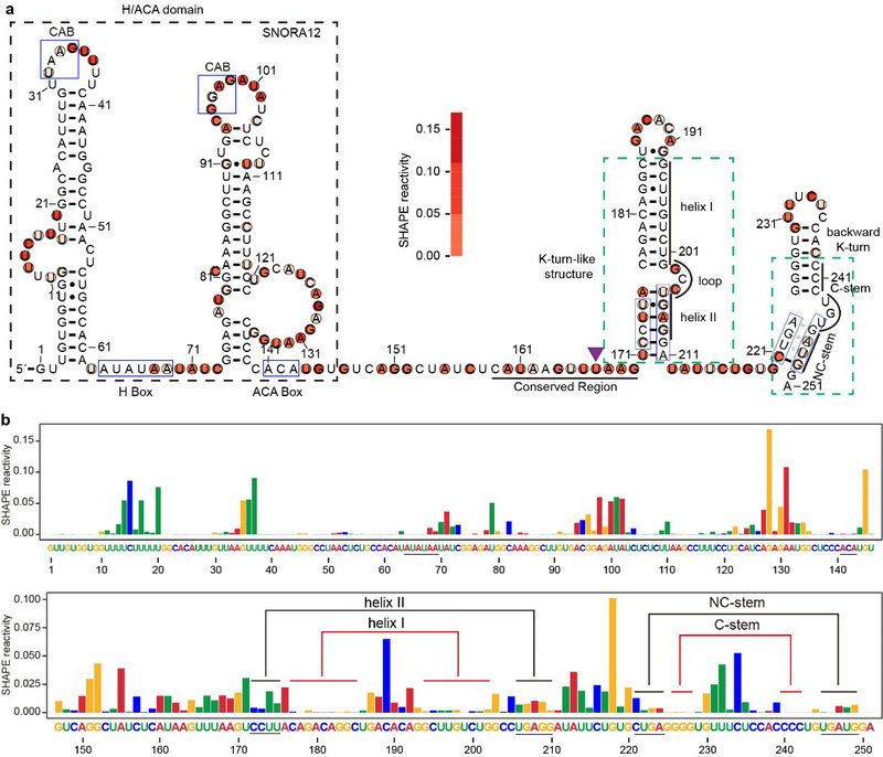 4F657B10FD73E3561BDC04DCD64_63C8F82C_18E9F