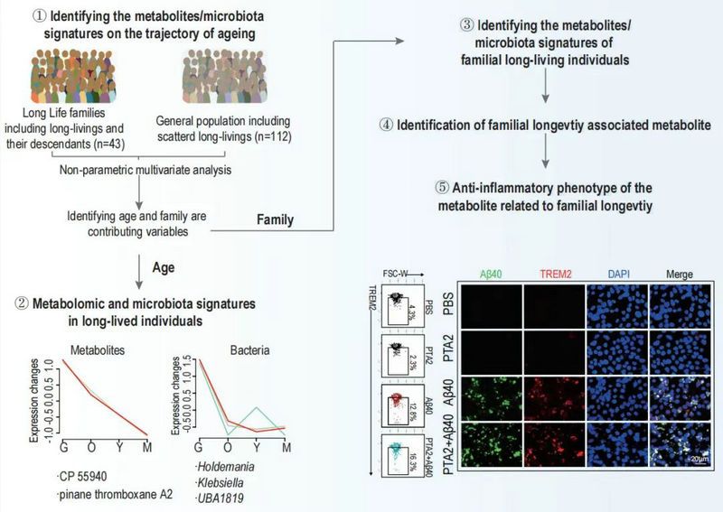 9031ED2F565C88DF766CD7ADC7D_BC72DEA0_1367C