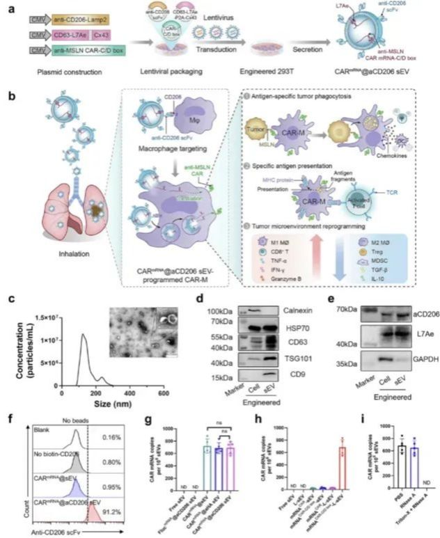 ��ҳ|ng������Ϸ�й����Źٷ���վ